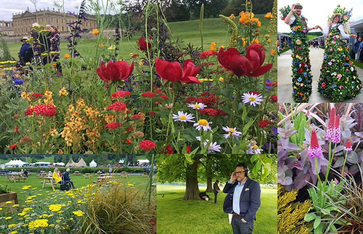 RHS Chatsworth flower show 2019