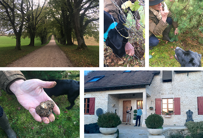 hunting for truffels champagn france