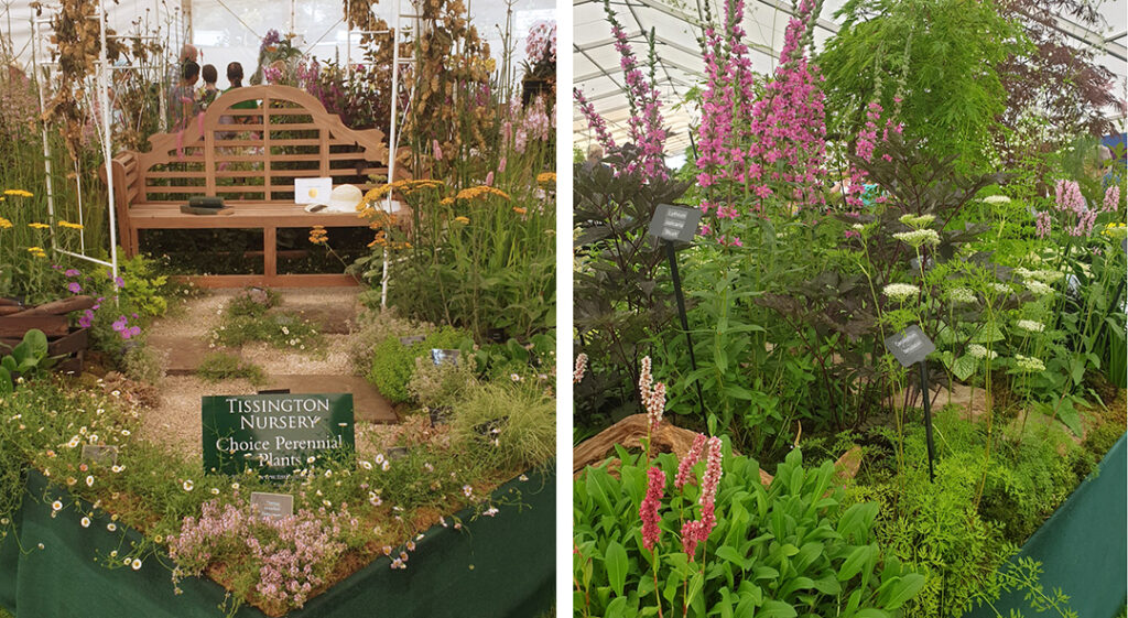 Tissington Nursery RHS Gold Medal Tatton Park with Sir Edwin Lutyens garden bench