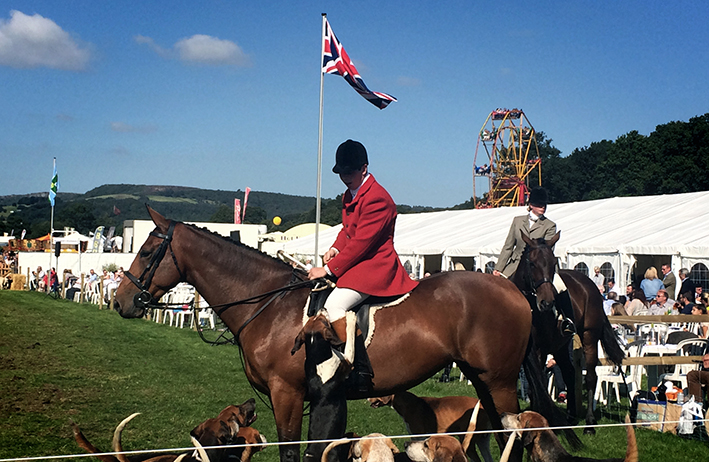 hounds at chatsworth country fair hebbonair