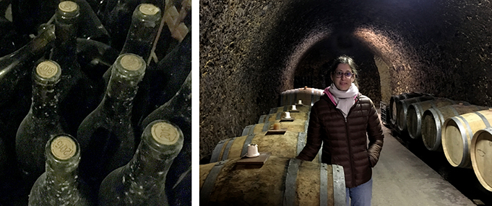 wine in the le loir valley Domanie de Cezin