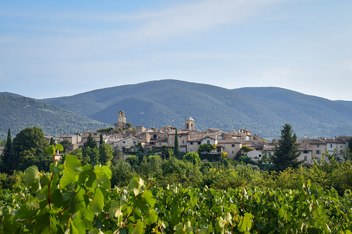 The ancient rooftops of Lourmarin village rise above the vineyards.